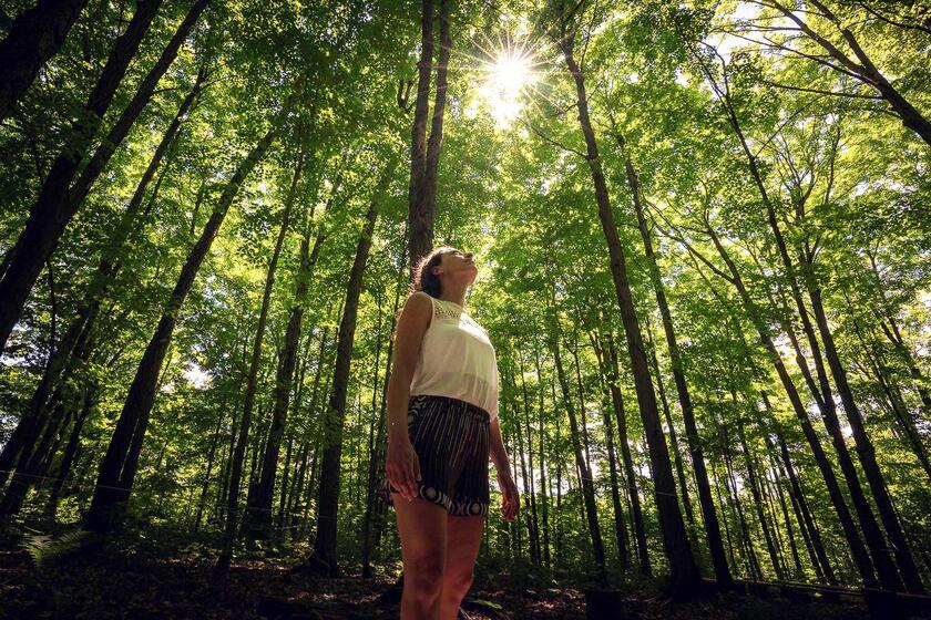 woman looking up in forest