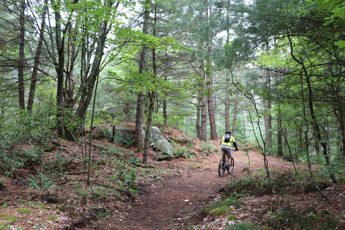 person cycling through green mossy forest