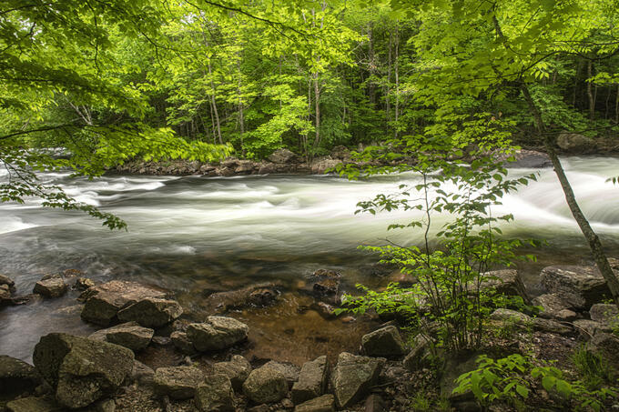 A view of a river running over rocks.